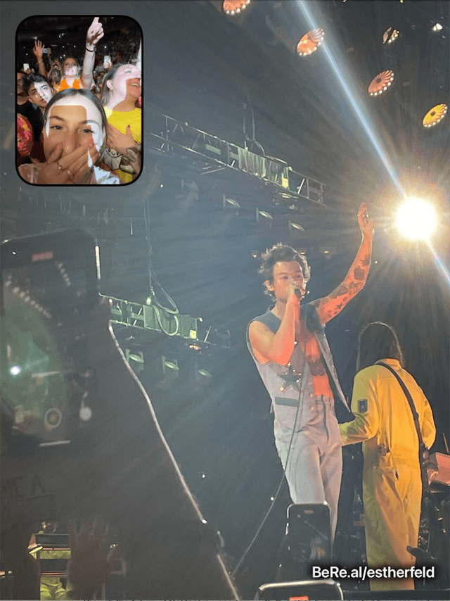 BeReal taken at a Harry Styles concert.