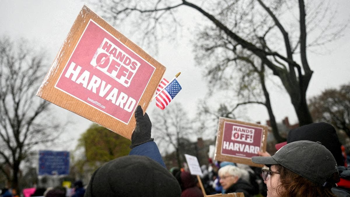 Protesters criticizing Trump's actions towards Harvard. 